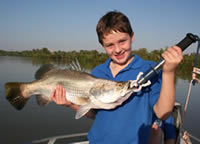 Barramundi